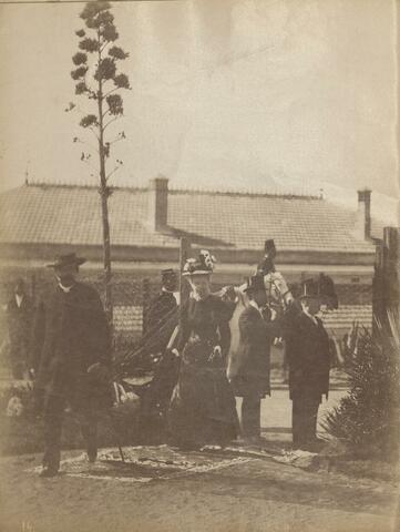 Open original Ψηφιακή αναπαραγωγή