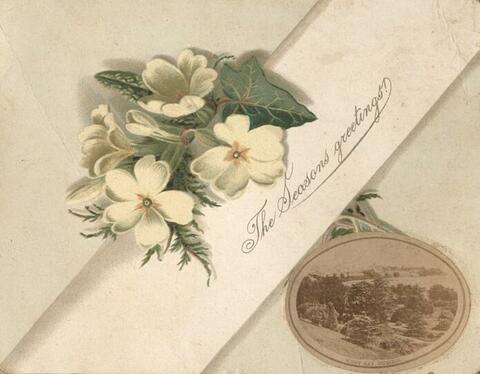 Open original Digital object