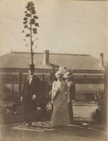 Open original Ψηφιακή αναπαραγωγή